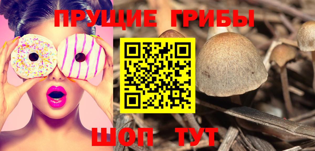 Заринск  Галлюциногенные грибы мухоморы  Вход с VPN 