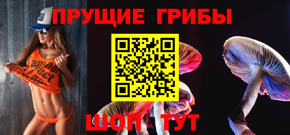 Псилоцибиновые грибы Psilocybe Заринск